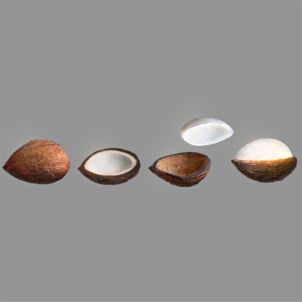 coconut shell - rough exterior contrasting with a smooth interior
